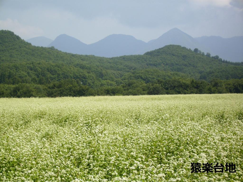 Hotel Osakaya Shimogo 外观 照片